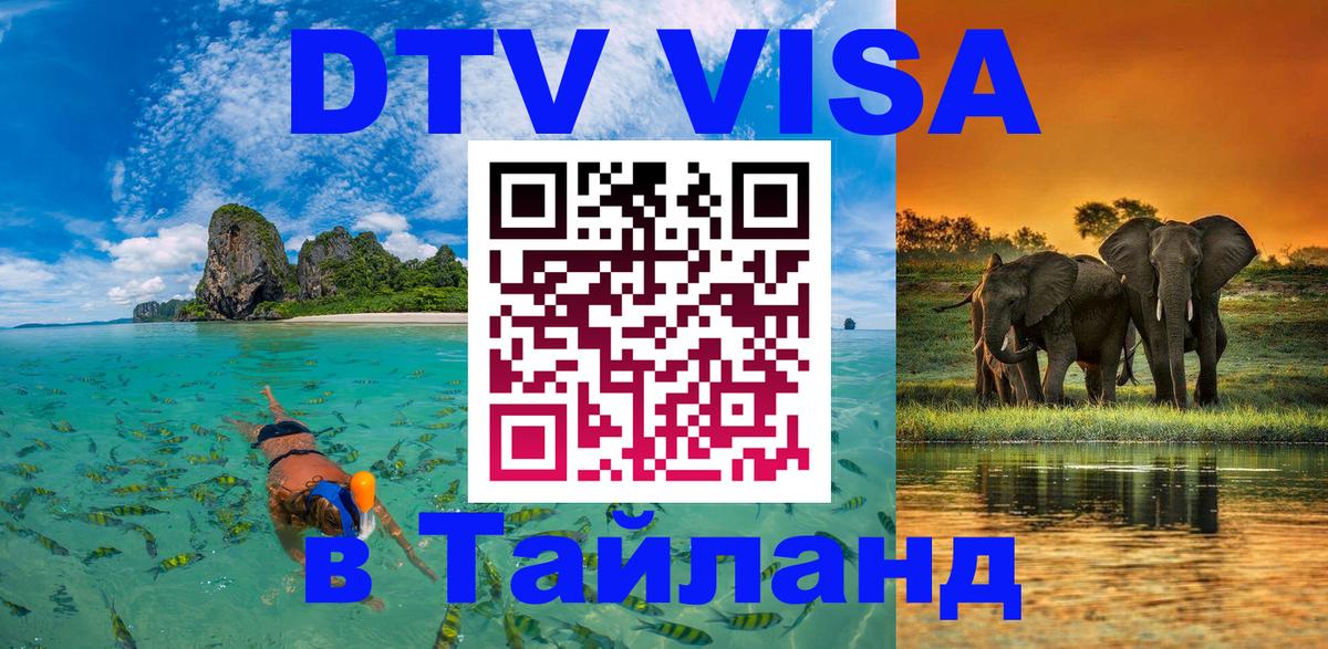 Оформление DTV визы под ключ: стоимость и тарифы, только загранпаспорт - 19.11.2025 